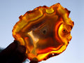 Polished Banded Agate Slices with Natural Edging x 6 From Madagascar - Toprock Gemstones and Minerals 