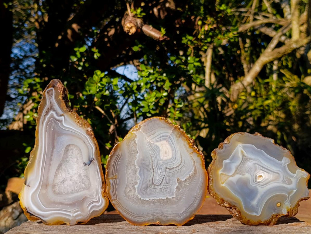 Polished Banded Agate Slices with Natural Edging x 6 From Madagascar - Toprock Gemstones and Minerals 