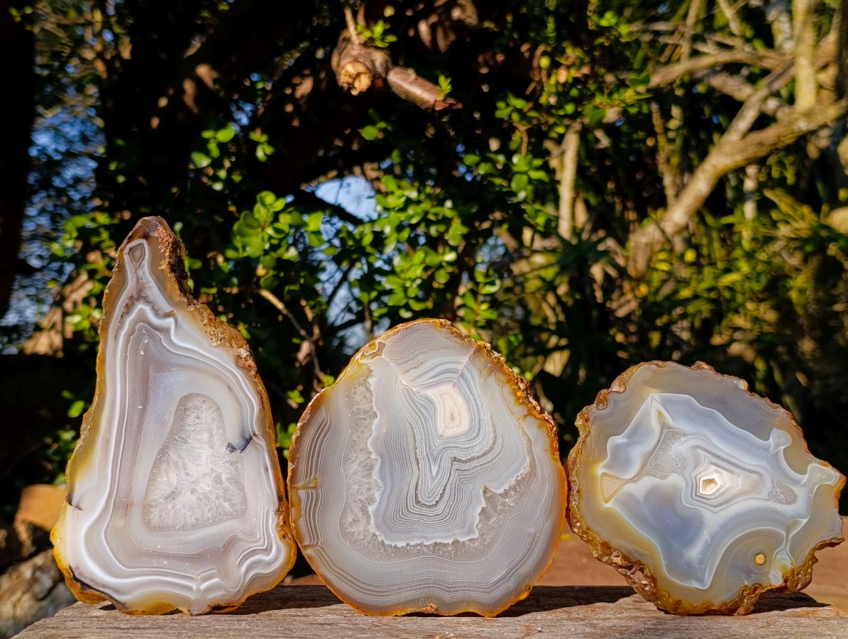 Polished Banded Agate Slices with Natural Edging x 6 From Madagascar - Toprock Gemstones and Minerals 