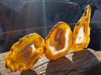 Polished Banded Agate Slices with Natural Edging x 6 From Madagascar - Toprock Gemstones and Minerals 