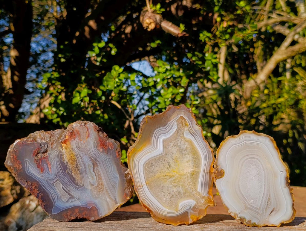 Polished Banded Agate Slices with Natural Edging x 6 From Madagascar - Toprock Gemstones and Minerals 