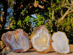 Polished Banded Agate Slices with Natural Edging x 6 From Madagascar - Toprock Gemstones and Minerals 