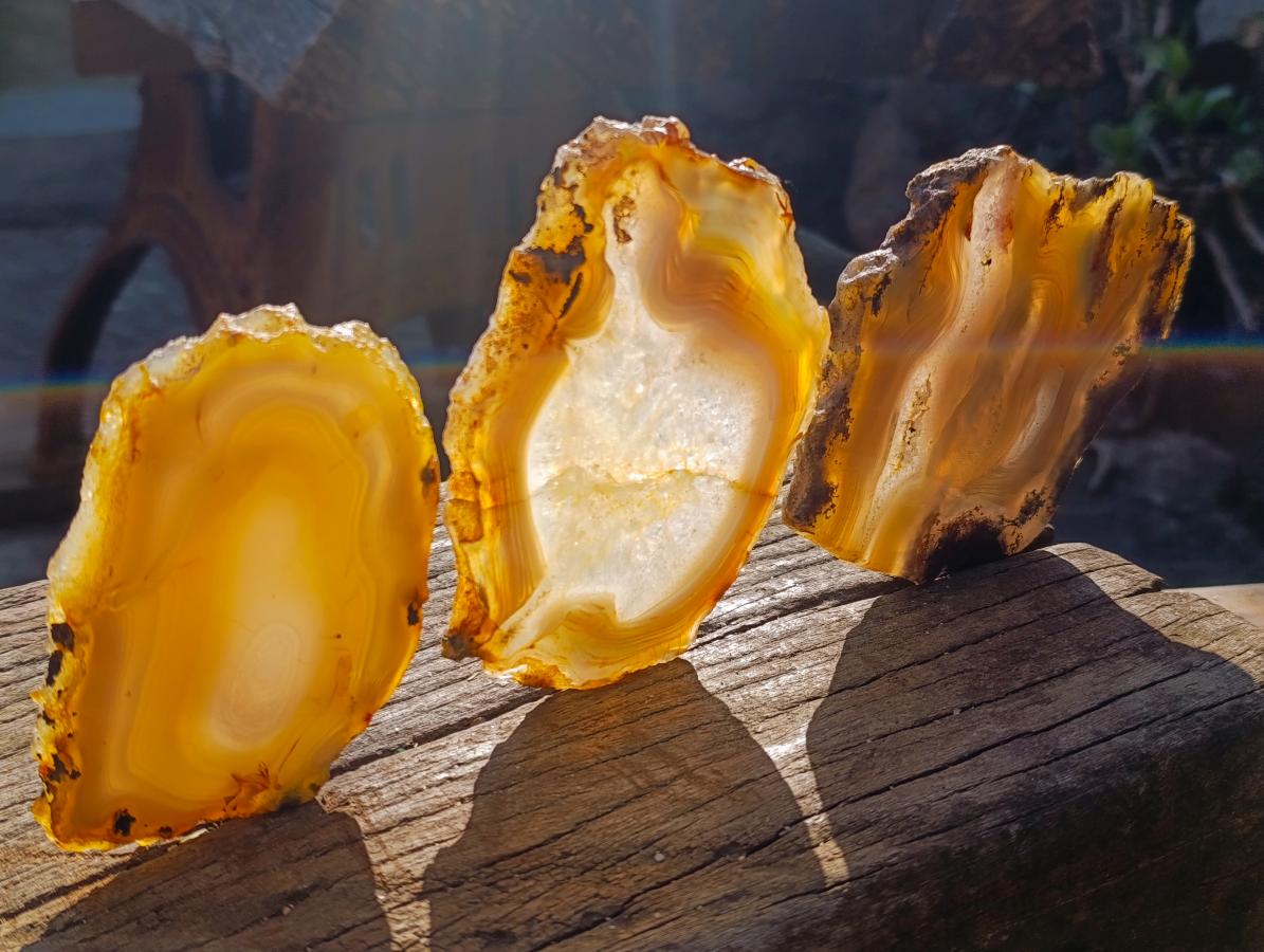 Polished Banded Agate Slices with Natural Edging x 6 From Madagascar - Toprock Gemstones and Minerals 