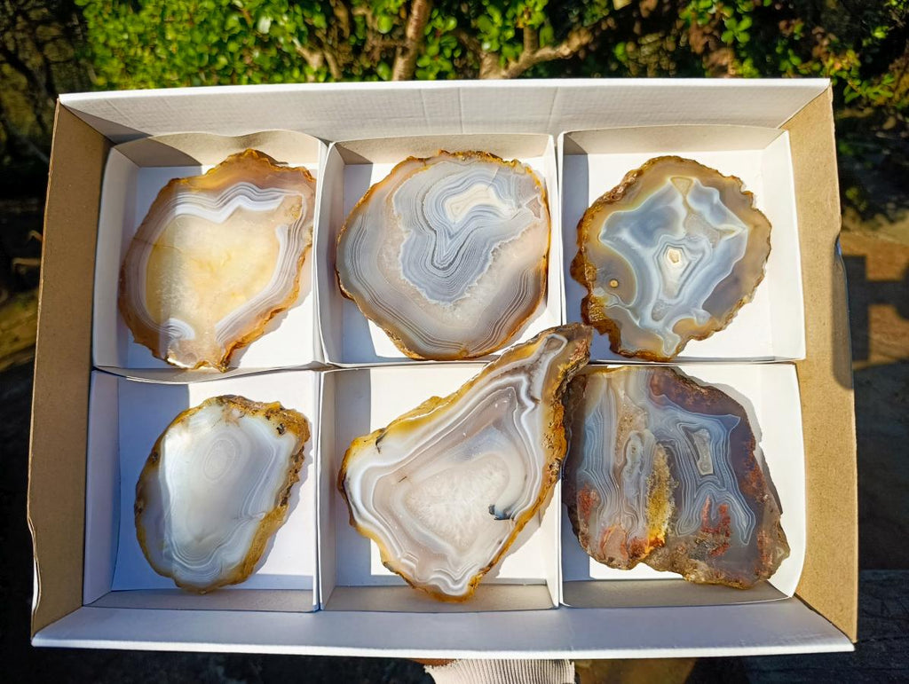 Polished Banded Agate Slices with Natural Edging x 6 From Madagascar - Toprock Gemstones and Minerals 