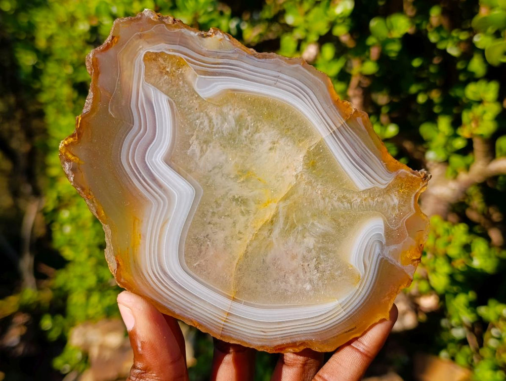Polished Banded Agate Slices with Natural Edging x 6 From Madagascar - Toprock Gemstones and Minerals 
