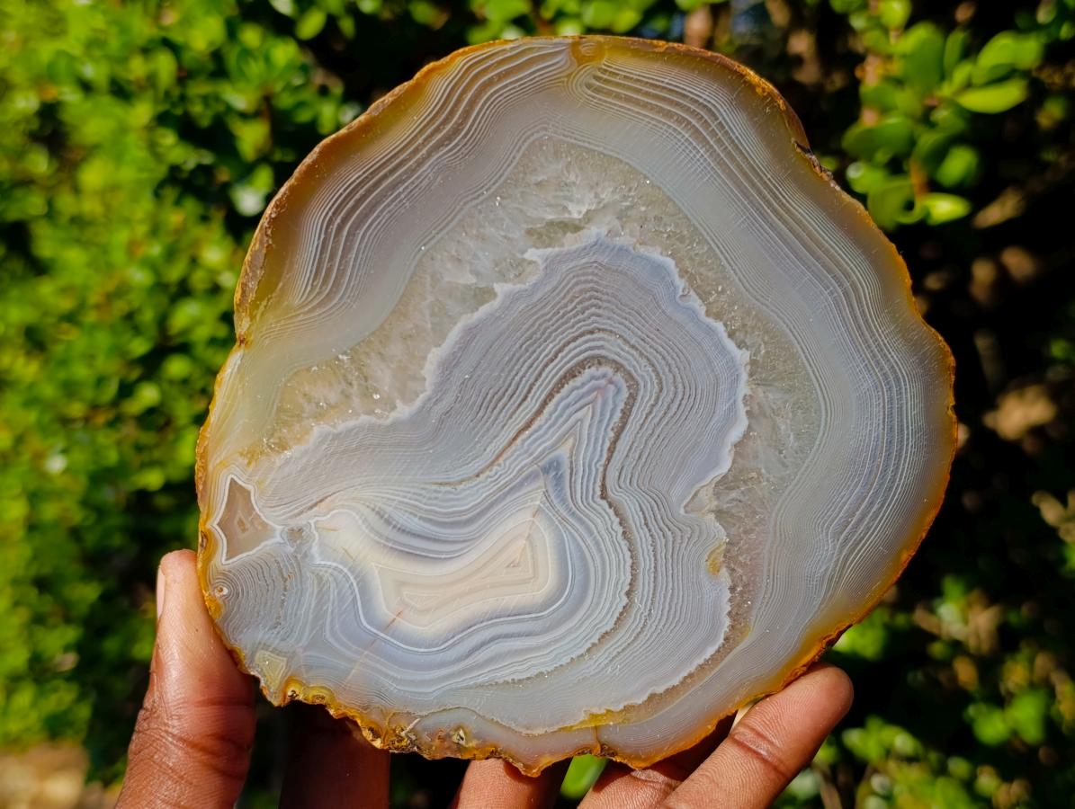 Polished Banded Agate Slices with Natural Edging x 6 From Madagascar - Toprock Gemstones and Minerals 