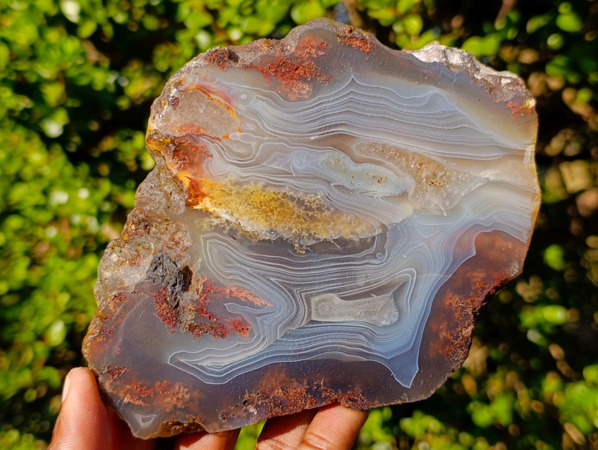 Polished Banded Agate Slices with Natural Edging x 6 From Madagascar - Toprock Gemstones and Minerals 