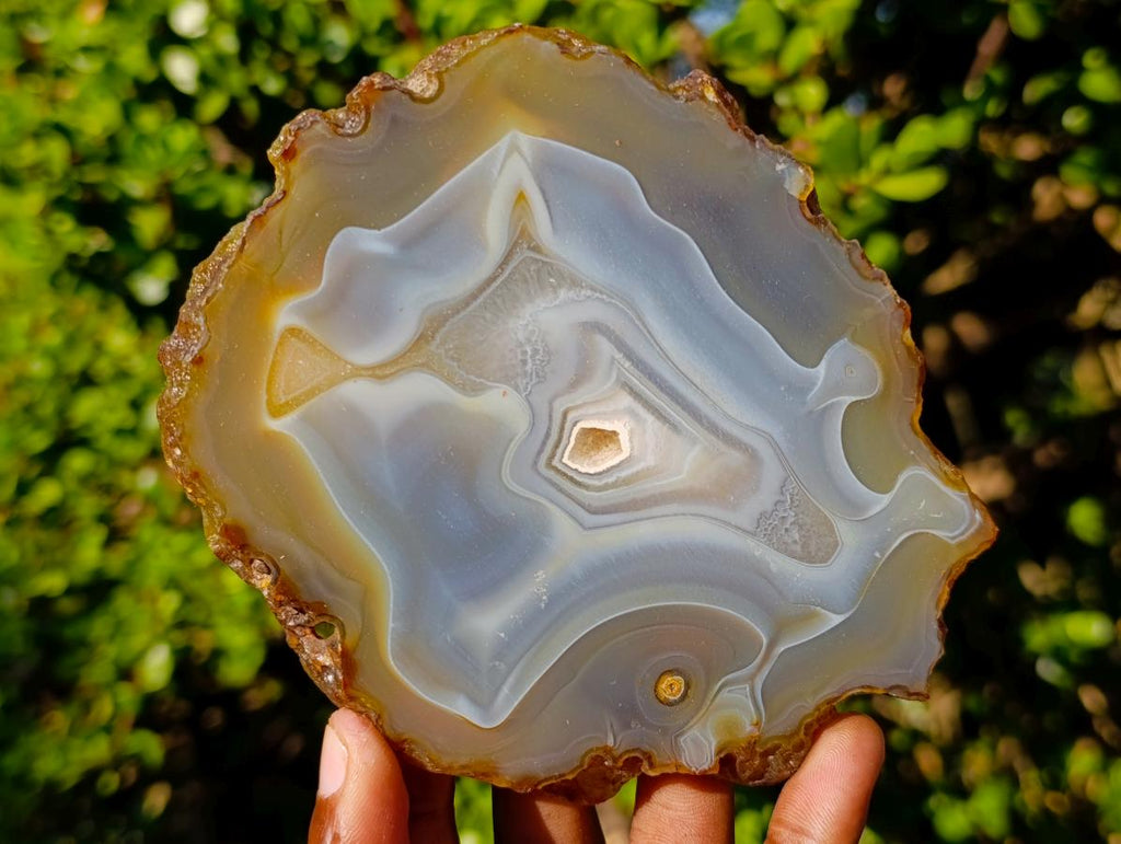 Polished Banded Agate Slices with Natural Edging x 6 From Madagascar - Toprock Gemstones and Minerals 