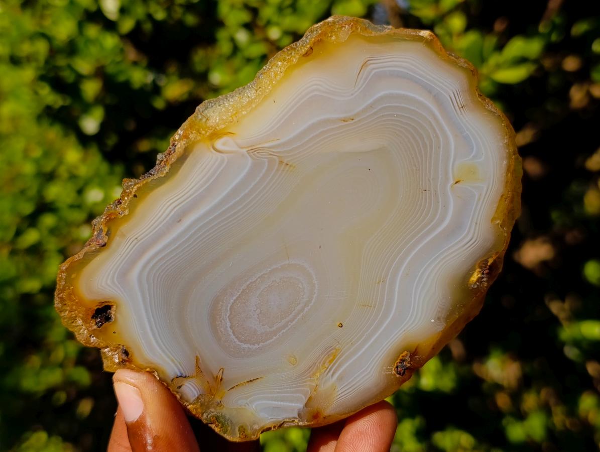 Polished Banded Agate Slices with Natural Edging x 6 From Madagascar - Toprock Gemstones and Minerals 