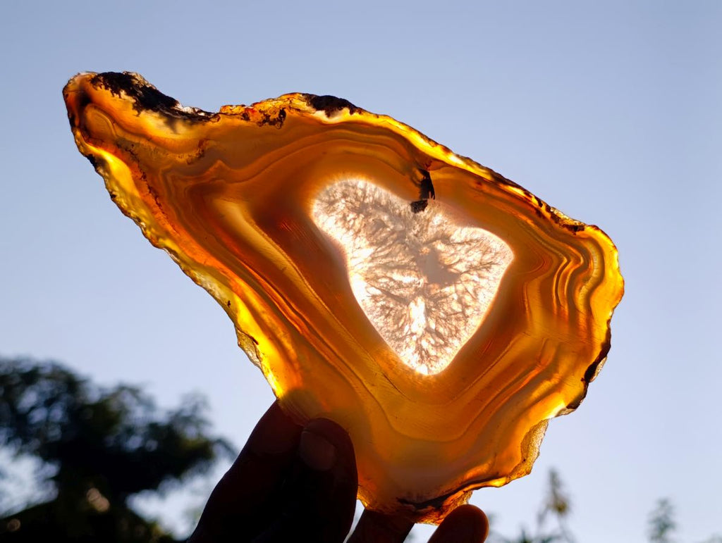 Polished Banded Agate Slices with Natural Edging x 6 From Madagascar - Toprock Gemstones and Minerals 
