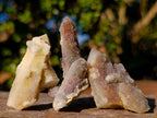 Natural Drusy Fairy Spirit Quartz Crystals x 70 From Boekenhouthoek, South Africa - Toprock Gemstones and Minerals 