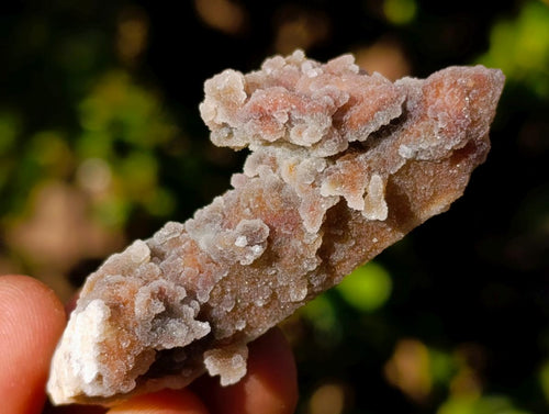 Natural Drusy Fairy Spirit Quartz Crystals x 70 From Boekenhouthoek, South Africa - Toprock Gemstones and Minerals 