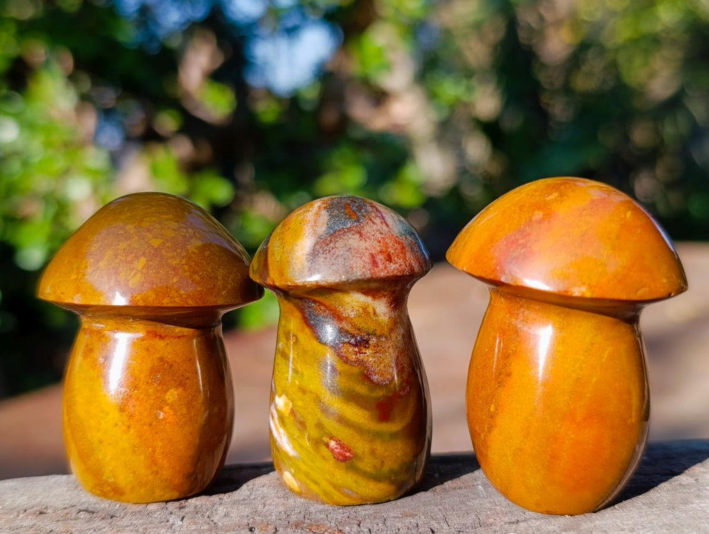 Polished Malagasy Jasper Mushrooms x 24 From Madagascar - Toprock Gemstones and Minerals 