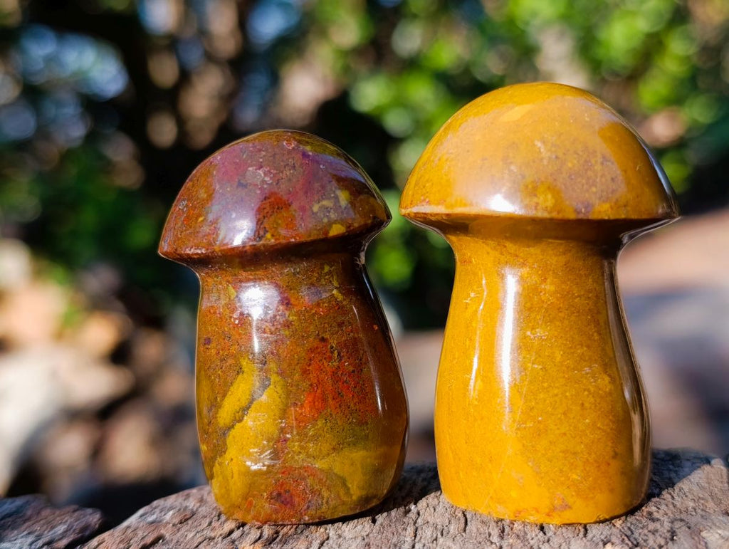 Polished Malagasy Jasper Mushrooms x 24 From Madagascar - Toprock Gemstones and Minerals 