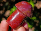 Polished Malagasy Jasper Mushrooms x 24 From Madagascar - Toprock Gemstones and Minerals 