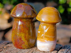 Polished Malagasy Jasper Mushrooms x 24 From Madagascar - Toprock Gemstones and Minerals 