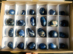 Polished Dumortierite Galets x 24 From Madagascar - Toprock Gemstones and Minerals 