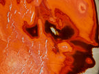 Polished Large Polychrome Jasper Standing Display Piece x 1 From NW Coast, Madagascar - Toprock Gemstones and Minerals 