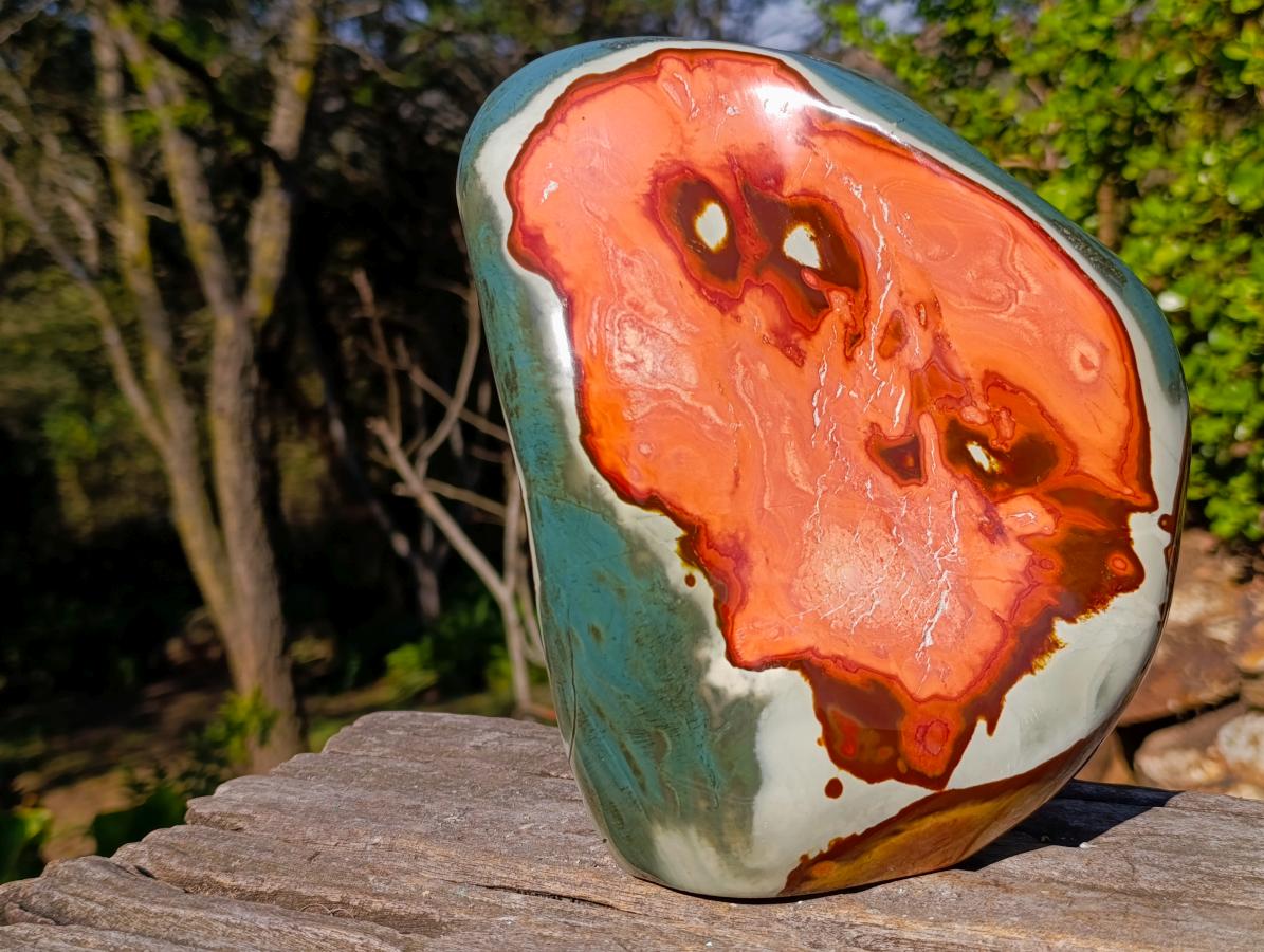 Polished Large Polychrome Jasper Standing Display Piece x 1 From NW Coast, Madagascar - Toprock Gemstones and Minerals 