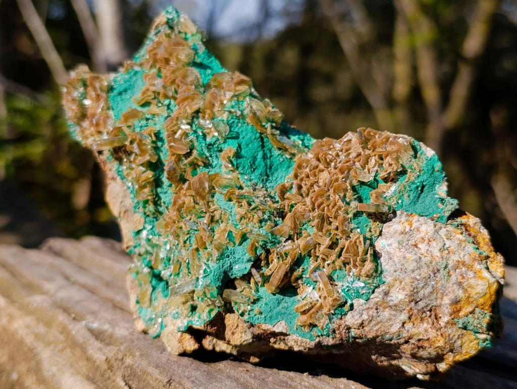 Natural Cabinet Size Rare Bladed Barite with Malachite Specimens x 1 From Shangulowé Mine, Congo - Toprock Gemstones and Minerals 