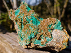 Natural Cabinet Size Rare Bladed Barite with Malachite Specimens x 1 From Shangulowé Mine, Congo - Toprock Gemstones and Minerals 