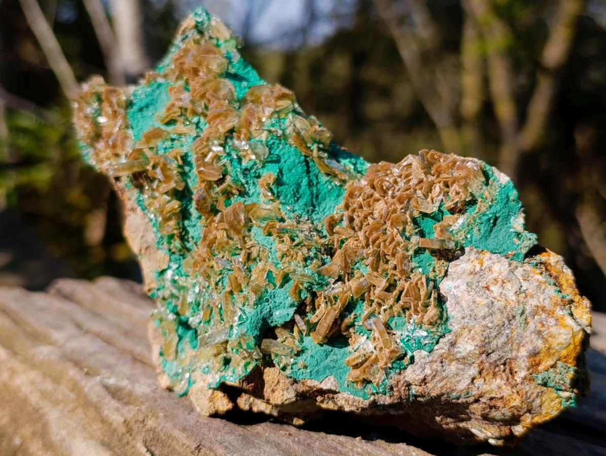 Natural Cabinet Size Rare Bladed Barite with Malachite Specimens x 1 From Shangulowé Mine, Congo - Toprock Gemstones and Minerals 