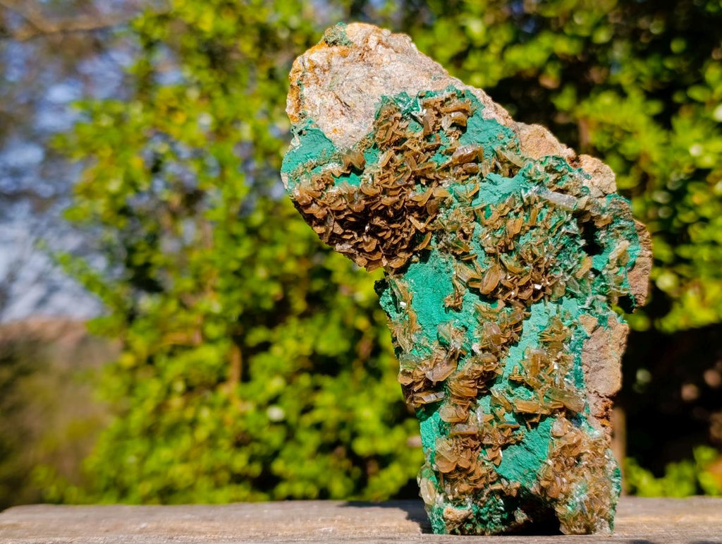 Natural Cabinet Size Rare Bladed Barite with Malachite Specimens x 1 From Shangulowé Mine, Congo - Toprock Gemstones and Minerals 