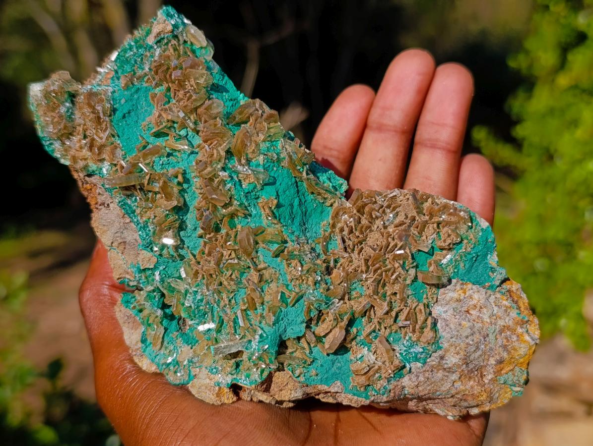 Natural Cabinet Size Rare Bladed Barite with Malachite Specimens x 1 From Shangulowé Mine, Congo - Toprock Gemstones and Minerals 