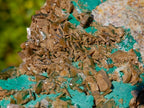 Natural Cabinet Size Rare Bladed Barite with Malachite Specimens x 1 From Shangulowé Mine, Congo - Toprock Gemstones and Minerals 