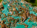 Natural Cabinet Size Rare Bladed Barite with Malachite Specimens x 1 From Shangulowé Mine, Congo - Toprock Gemstones and Minerals 