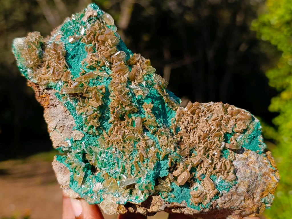 Natural Cabinet Size Rare Bladed Barite with Malachite Specimens x 1 From Shangulowé Mine, Congo - Toprock Gemstones and Minerals 