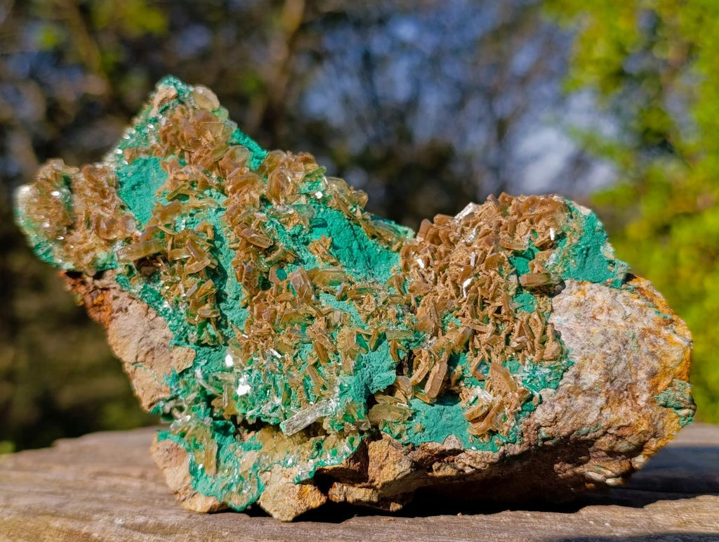 Natural Cabinet Size Rare Bladed Barite with Malachite Specimens x 1 From Shangulowé Mine, Congo - Toprock Gemstones and Minerals 