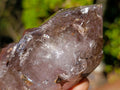 Polished Smokey Window Quartz Crystals x 4 From Madagascar - Toprock Gemstones and Minerals 