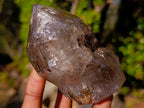 Polished Smokey Window Quartz Crystals x 4 From Madagascar - Toprock Gemstones and Minerals 