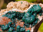 Natural Ball Malachite Specimens Coated with Drusy Quartz on Dolomite x 6 From Mindingi Mine, Congo - Toprock Gemstones and Minerals 