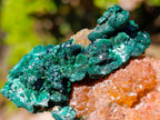 Natural Ball Malachite Specimens Coated with Drusy Quartz on Dolomite x 6 From Mindingi Mine, Congo - Toprock Gemstones and Minerals 
