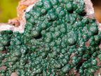 Natural Ball Malachite Specimens Coated with Drusy Quartz on Dolomite x 6 From Mindingi Mine, Congo - Toprock Gemstones and Minerals 
