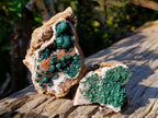 Natural Ball Malachite Specimens Coated with Drusy Quartz on Dolomite x 6 From Mindingi Mine, Congo - Toprock Gemstones and Minerals 