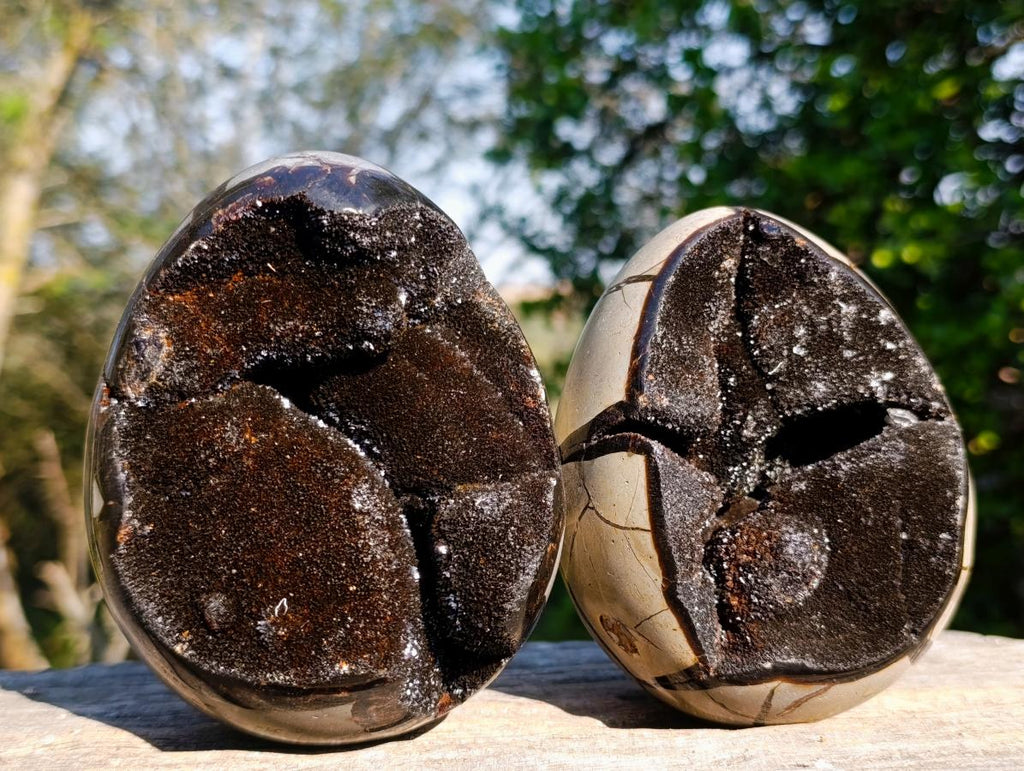 Polished Septerye Sauvage "Dragons Egg" Geodes x 2 From Mahajanga, Madagascar - Toprock Gemstones and Minerals 