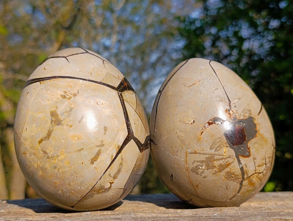 Polished Septerye Sauvage "Dragons Egg" Geodes x 2 From Mahajanga, Madagascar - Toprock Gemstones and Minerals 