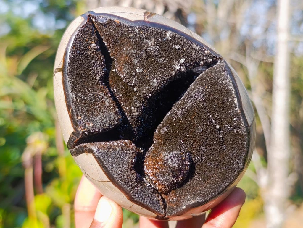 Polished Septerye Sauvage "Dragons Egg" Geodes x 2 From Mahajanga, Madagascar - Toprock Gemstones and Minerals 