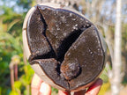 Polished Septerye Sauvage "Dragons Egg" Geodes x 2 From Mahajanga, Madagascar - Toprock Gemstones and Minerals 