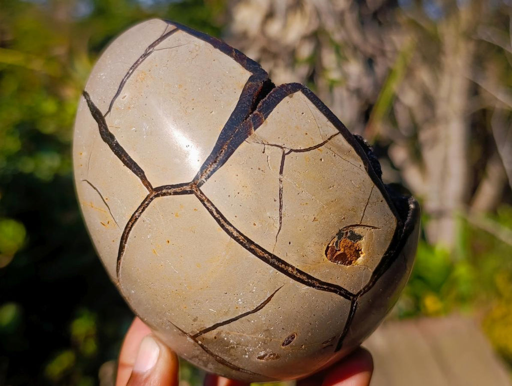 Polished Septerye Sauvage "Dragons Egg" Geodes x 2 From Mahajanga, Madagascar - Toprock Gemstones and Minerals 