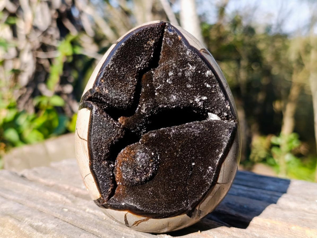 Polished Septerye Sauvage "Dragons Egg" Geodes x 2 From Mahajanga, Madagascar - Toprock Gemstones and Minerals 