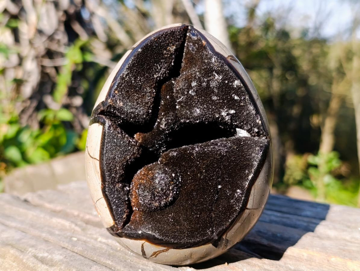 Polished Septerye Sauvage "Dragons Egg" Geodes x 2 From Mahajanga, Madagascar - Toprock Gemstones and Minerals 