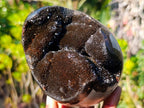 Polished Septerye Sauvage "Dragons Egg" Geodes x 2 From Mahajanga, Madagascar - Toprock Gemstones and Minerals 