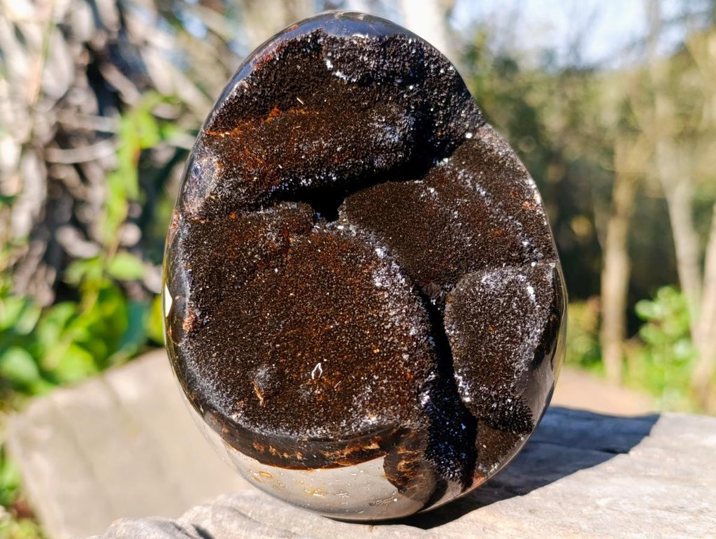 Polished Septerye Sauvage "Dragons Egg" Geodes x 2 From Mahajanga, Madagascar - Toprock Gemstones and Minerals 