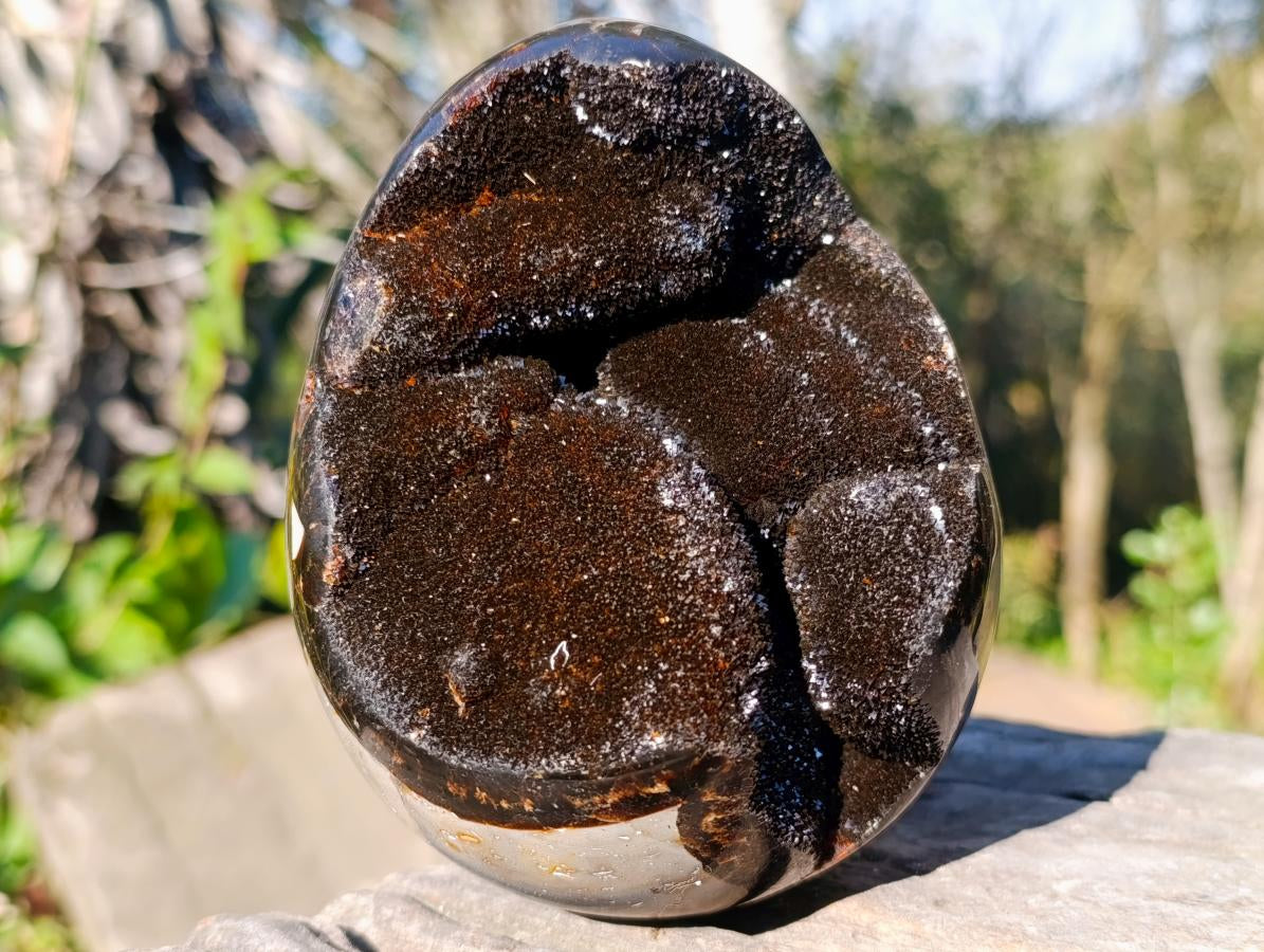 Polished Septerye Sauvage "Dragons Egg" Geodes x 2 From Mahajanga, Madagascar - Toprock Gemstones and Minerals 