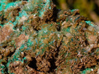 Natural Cabinet Sized Rare Bladed Barite with Malachite Specimens x 2 From Shangulowé Mine, Congo - Toprock Gemstones and Minerals 