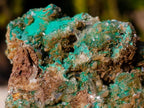 Natural Cabinet Sized Rare Bladed Barite with Malachite Specimens x 2 From Shangulowé Mine, Congo - Toprock Gemstones and Minerals 